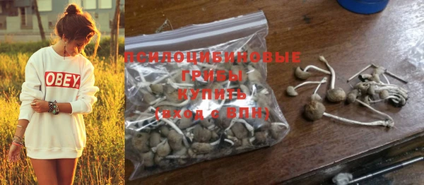 не бодяженный Янаул