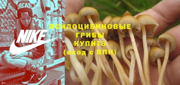 ГАЛЛЮЦИНОГЕННЫЕ ГРИБЫ Кизел
