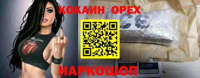 крисы Гай