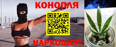 гашик Бийск