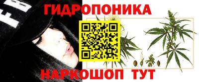 ALPHA PVP Гатчина