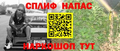 ALPHA PVP Гатчина