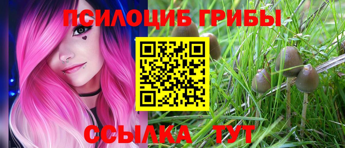 Псилоцибиновые грибы GOLDEN TEACHER Ижевск