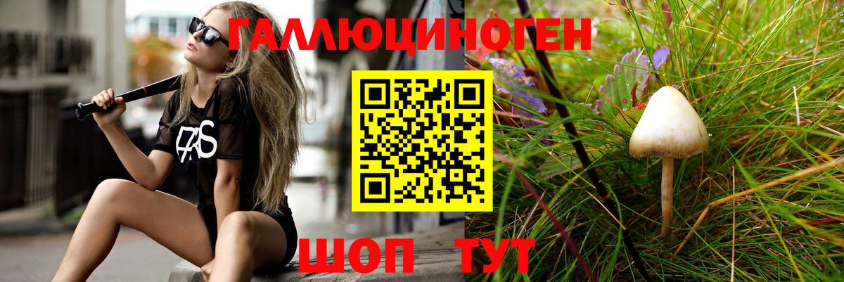 Галлюциногенные грибы Magic Shrooms  Галлюциногенные грибы Psilocybe  Ижевск 